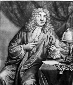 the Dutch businessman and scientist Antonie van Leeuwenhoek in the 1670’s 