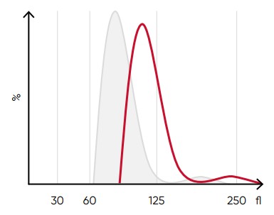 A shift of the RBC histogram to the right gives an indication of macrocytic RBCs (larger than normal).