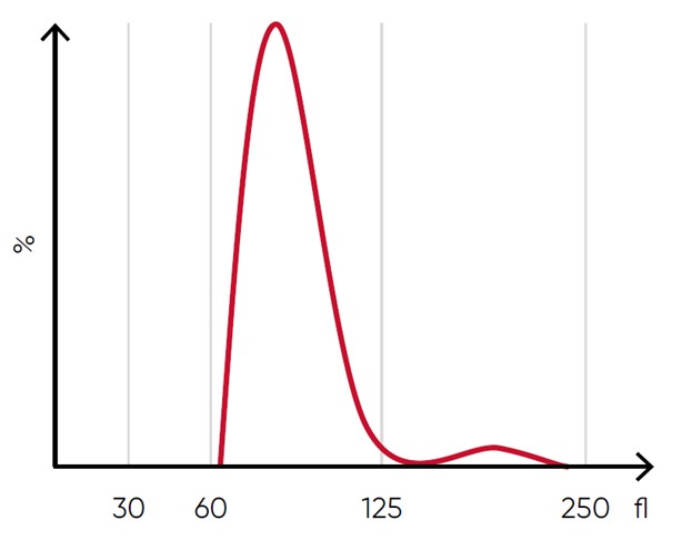 Blood cell histogram showing a normal distribution of red blood cells