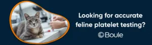 Looking for accurate feline platelet testing? Contact us.