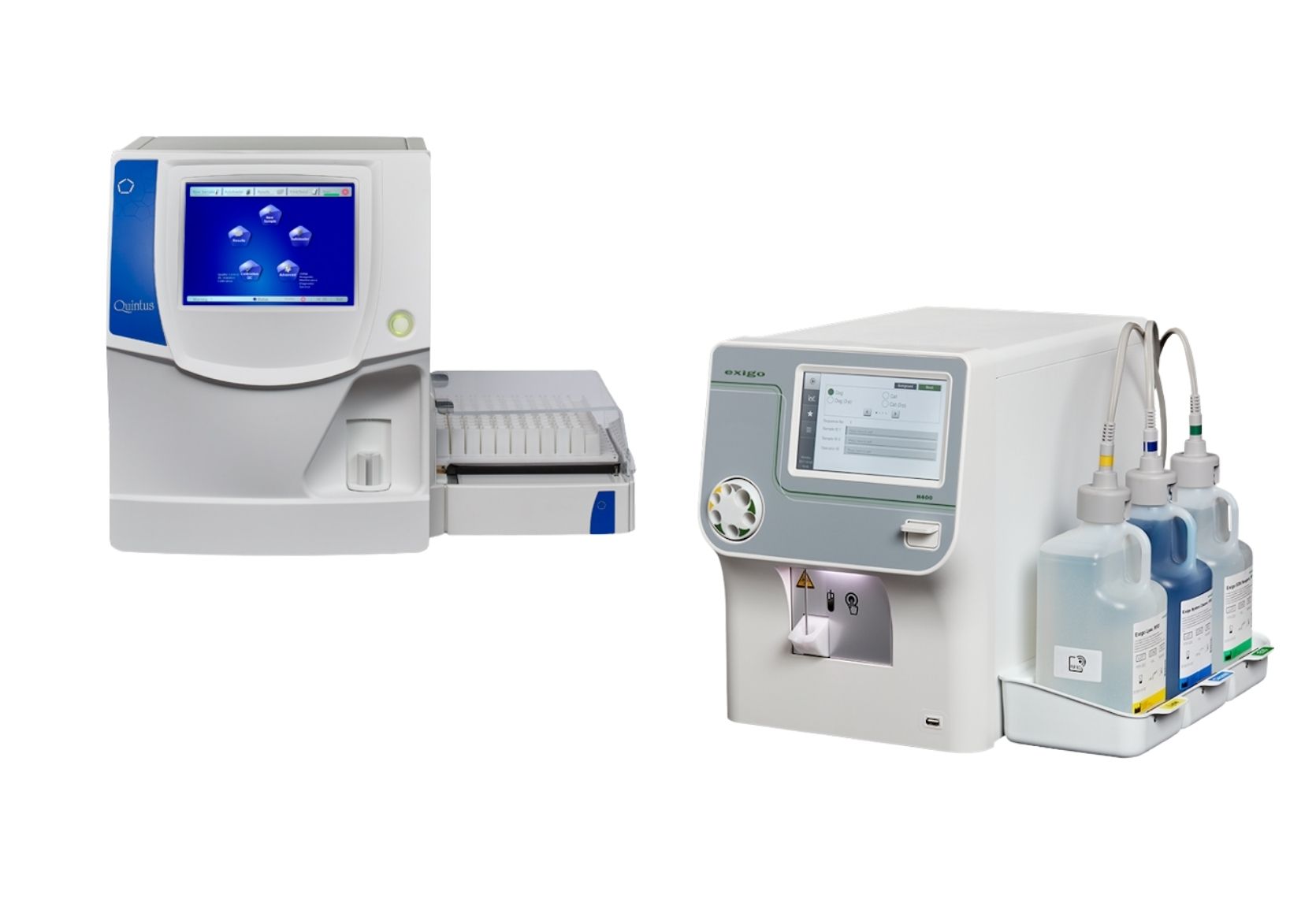 quintus and exigo eos