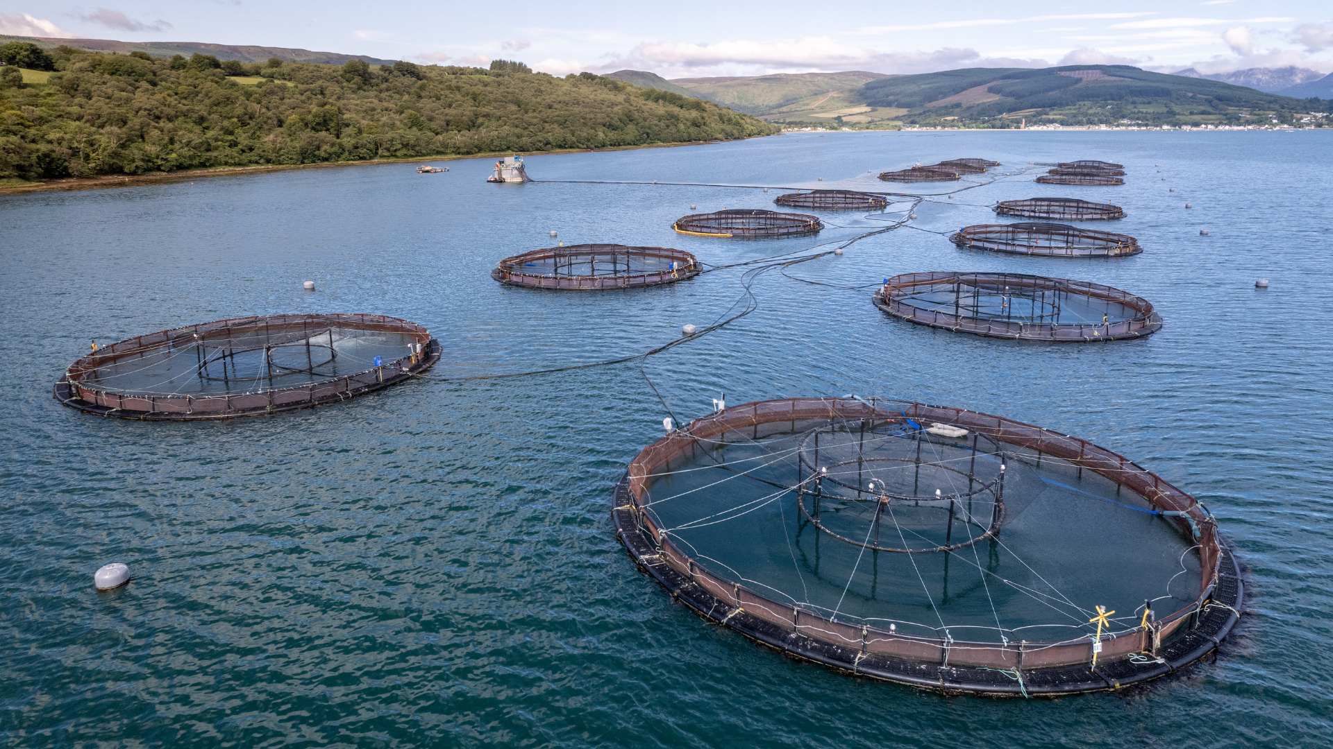fish farm